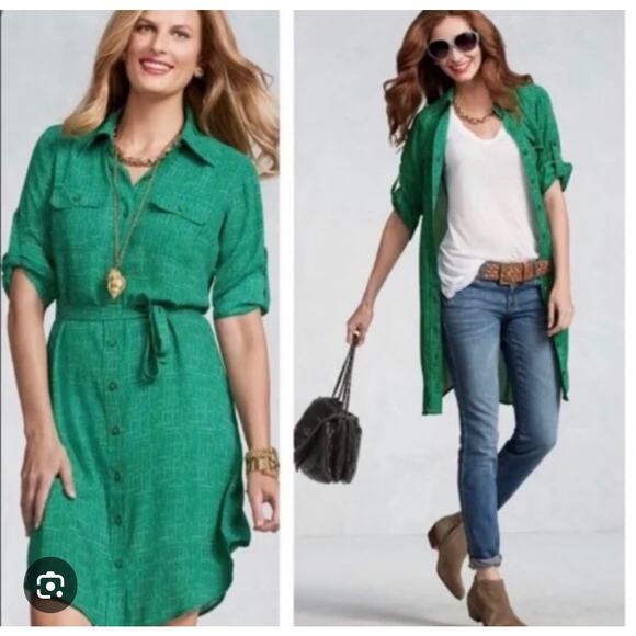 Cabi Dotted Kelly Dress green XL - Picture 1 of 6